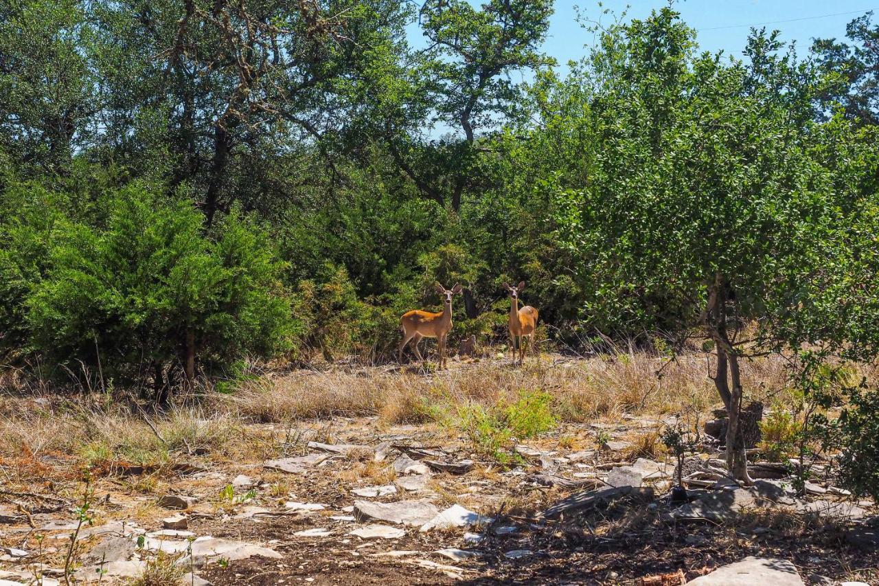 Cozy Guest Near Guadalupe River! Kerrville